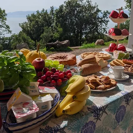 Sanacore - - Cersuta Bed & Breakfast Maratea